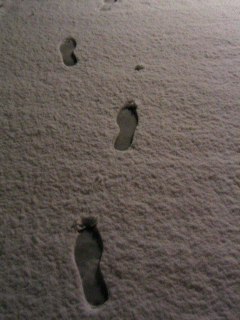 Guess whose footprints?